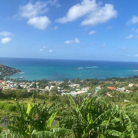 Greenhouse On The Hill, Sea View Studio Apartment Laborie ภายนอก รูปภาพ