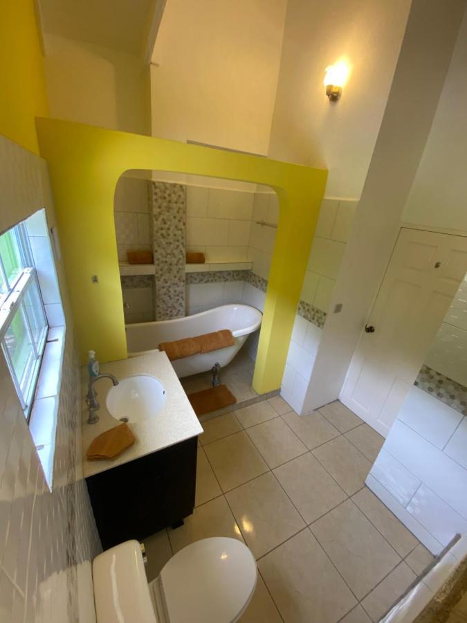 Greenhouse On The Hill, Sea View Studio Apartment Laborie ภายนอก รูปภาพ
