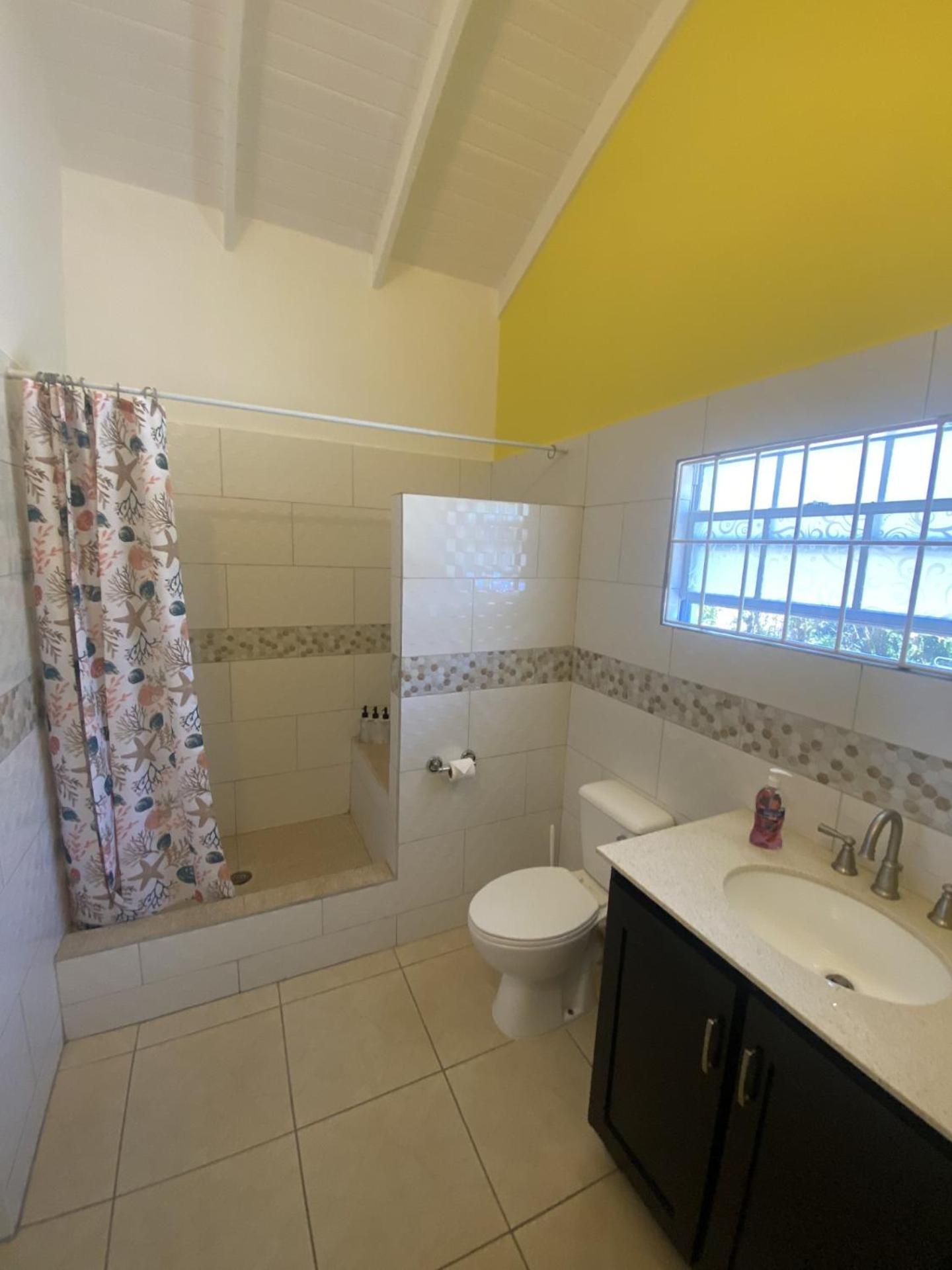 Greenhouse On The Hill, Sea View Studio Apartment Laborie ภายนอก รูปภาพ